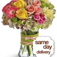 Fashionista Blooms