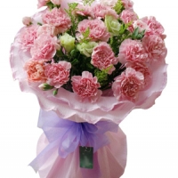 19 Pink Carnations